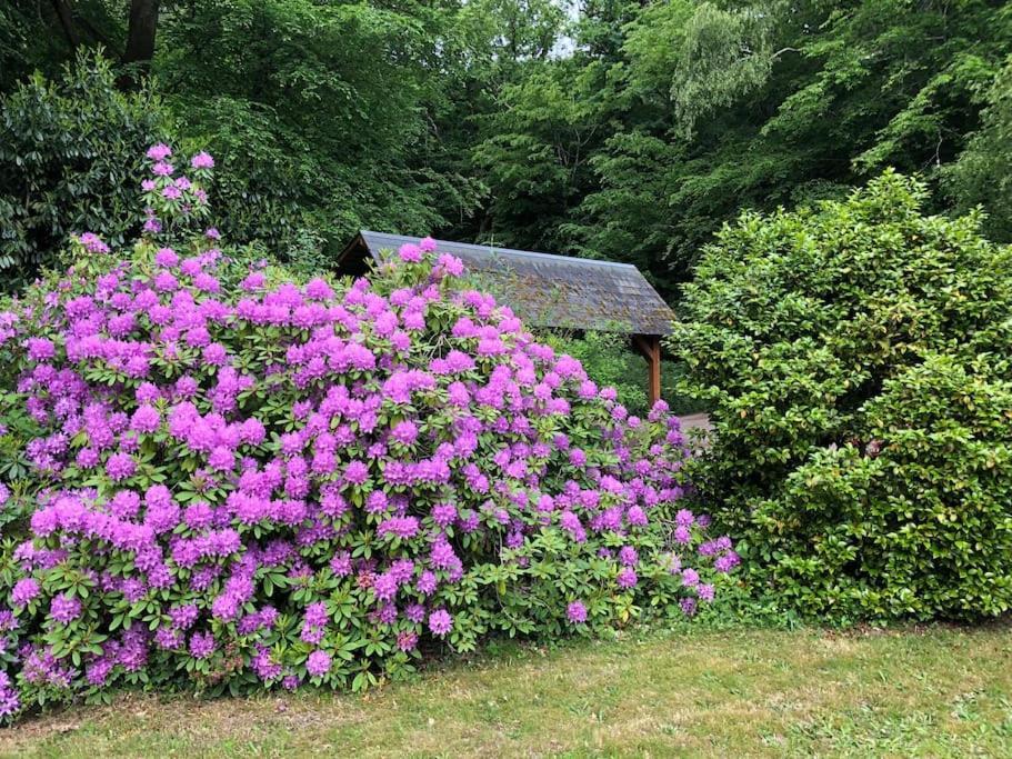 "La Homerie" Chaumiere En Pleine Nature Savigny-en-Sancerre ภายนอก รูปภาพ