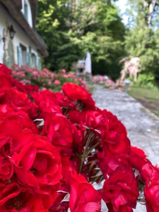 "La Homerie" Chaumiere En Pleine Nature Savigny-en-Sancerre ภายนอก รูปภาพ
